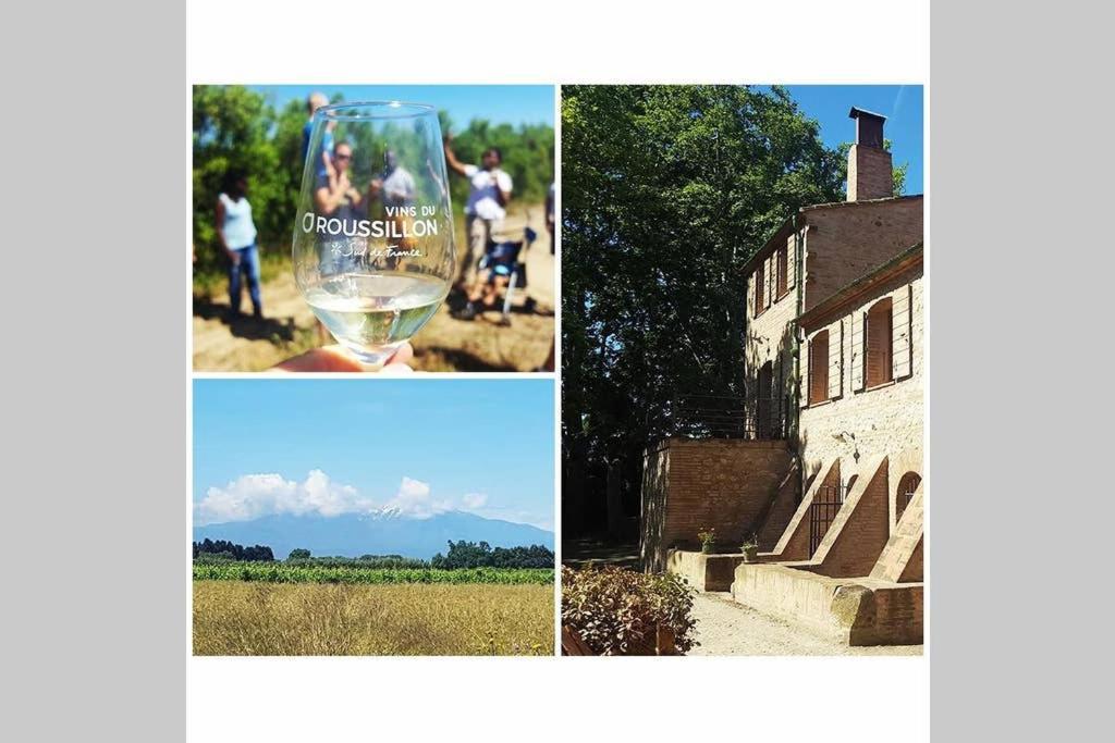 Gite De Charme Du Domaine Pagnon Guillemette Torreilles Eksteriør billede