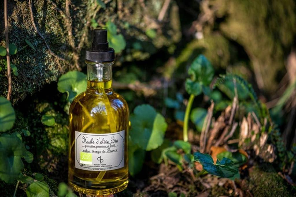 Gite De Charme Du Domaine Pagnon Guillemette Torreilles Eksteriør billede