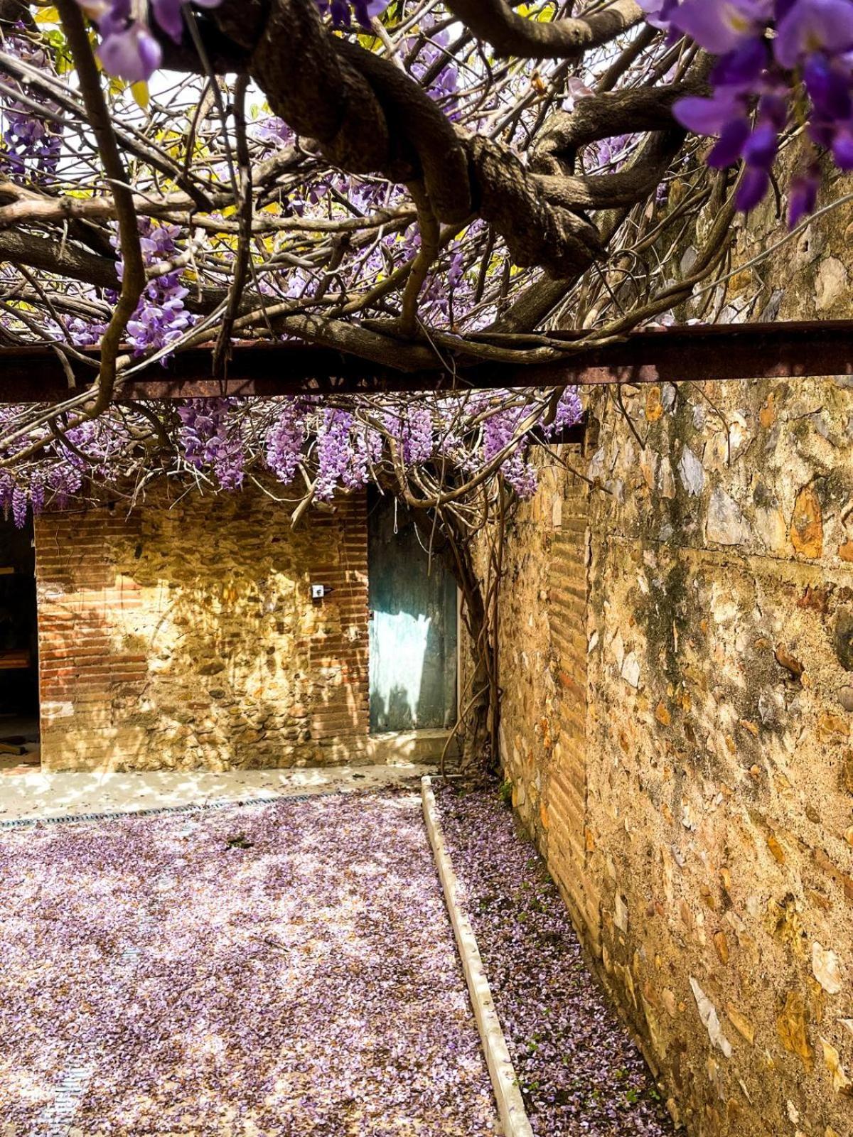 Gite De Charme Du Domaine Pagnon Guillemette Torreilles Eksteriør billede